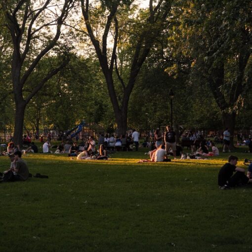 a group of people sitting on the grass